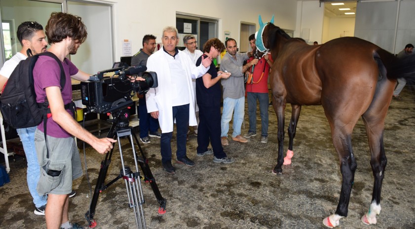 Laborant Ve Veteriner Sağlık Programı öğrencileri Uygulama Videoları ...